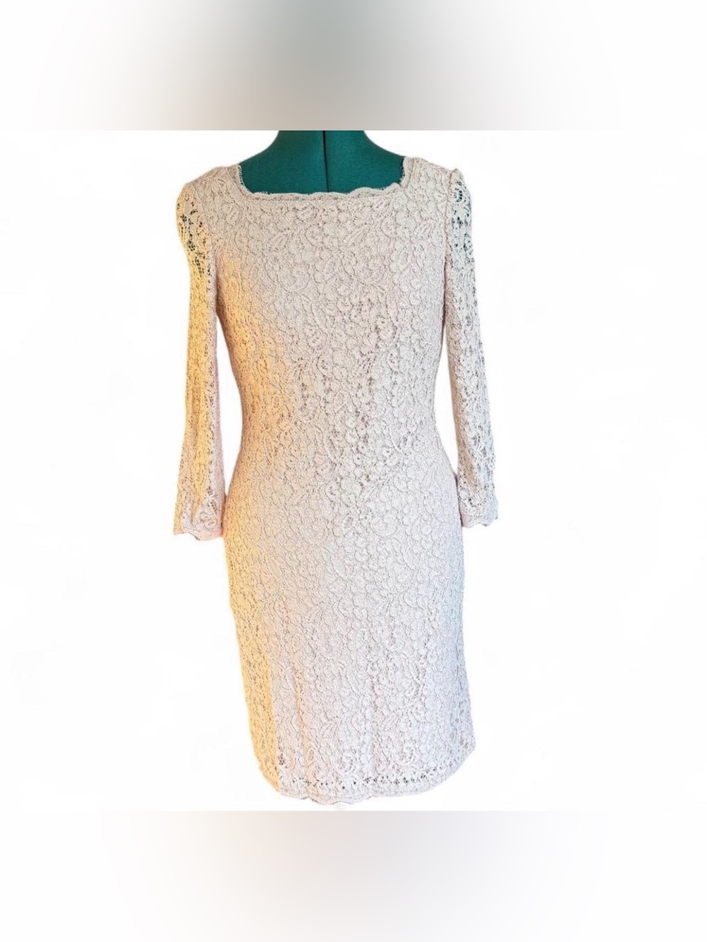 Adrianna Papell Blush Lace Sheath Dress with Three-Quarter Sleeves